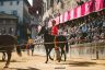 Palio Straordinario: la fotogallery della seconda prova